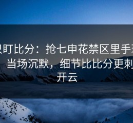 别只盯比分：抢七申花禁区里手球没吹，当场沉默，细节比比分更刺眼，开云